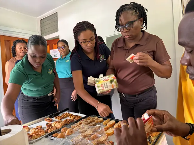 Procurement officers on a Love Saint Lucia site visit